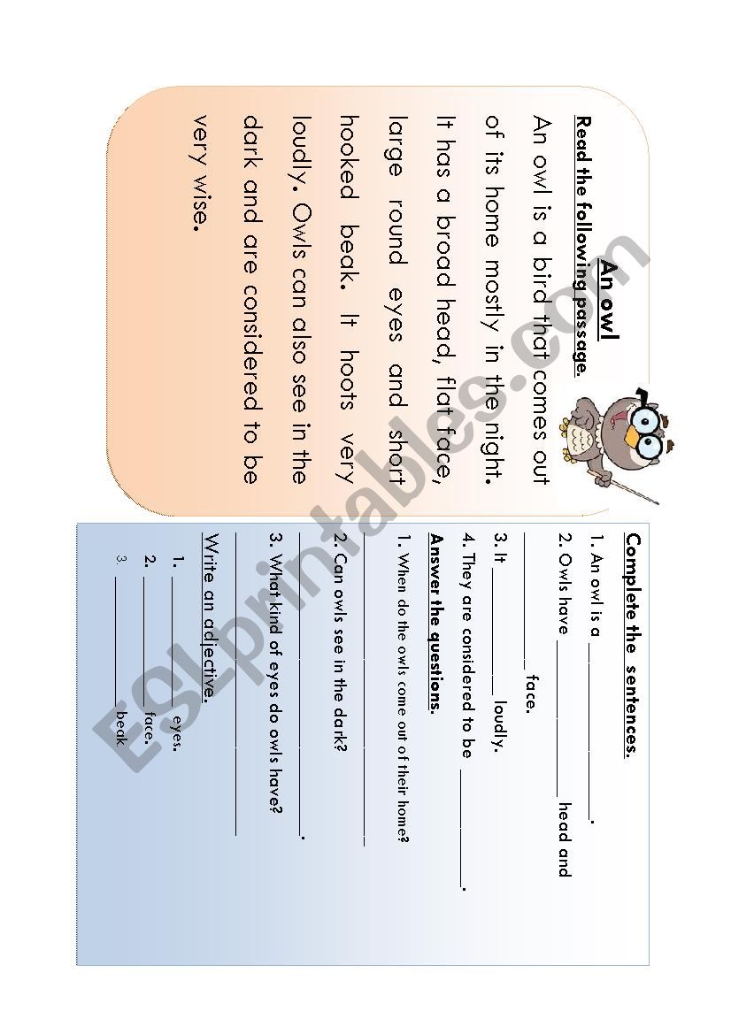 Reading Comprehension worksheet