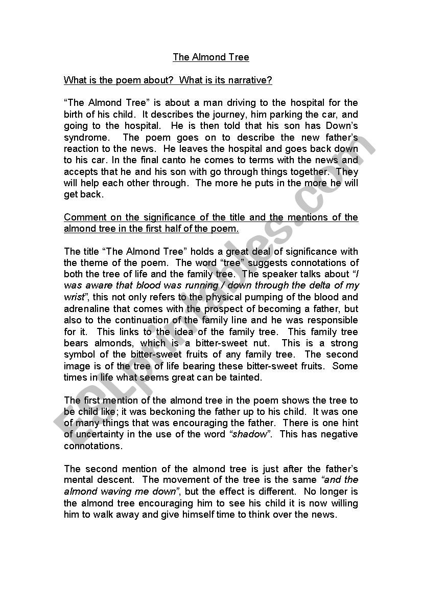 Questions on The Almond Tree worksheet