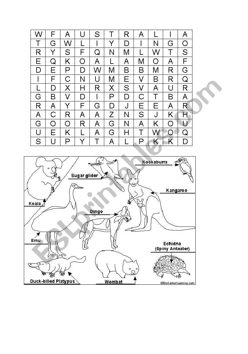 Australian Animal wordfind worksheet