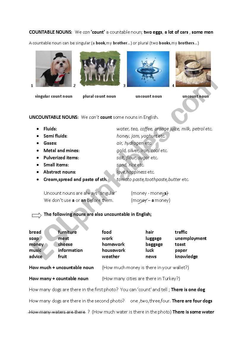 countable uncountable nouns worksheet