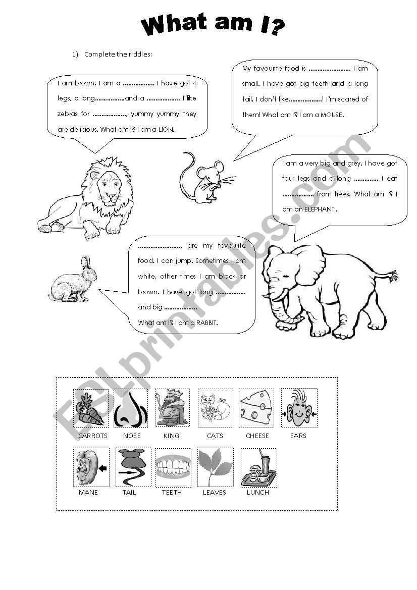 Animal Riddles  worksheet
