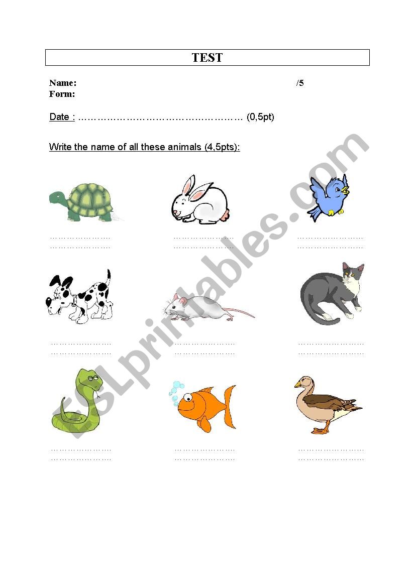Animals Test worksheet