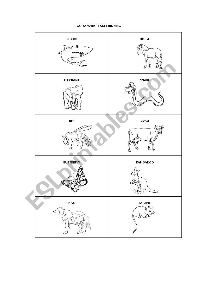 Guess the animal worksheet