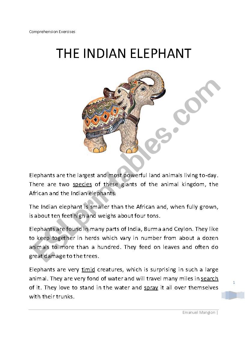 The Indian Elephant reading comprehension