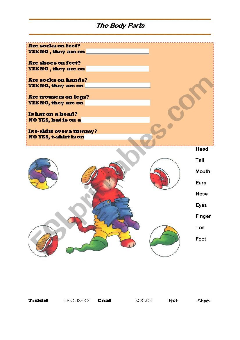 Clothes and body parts worksheet