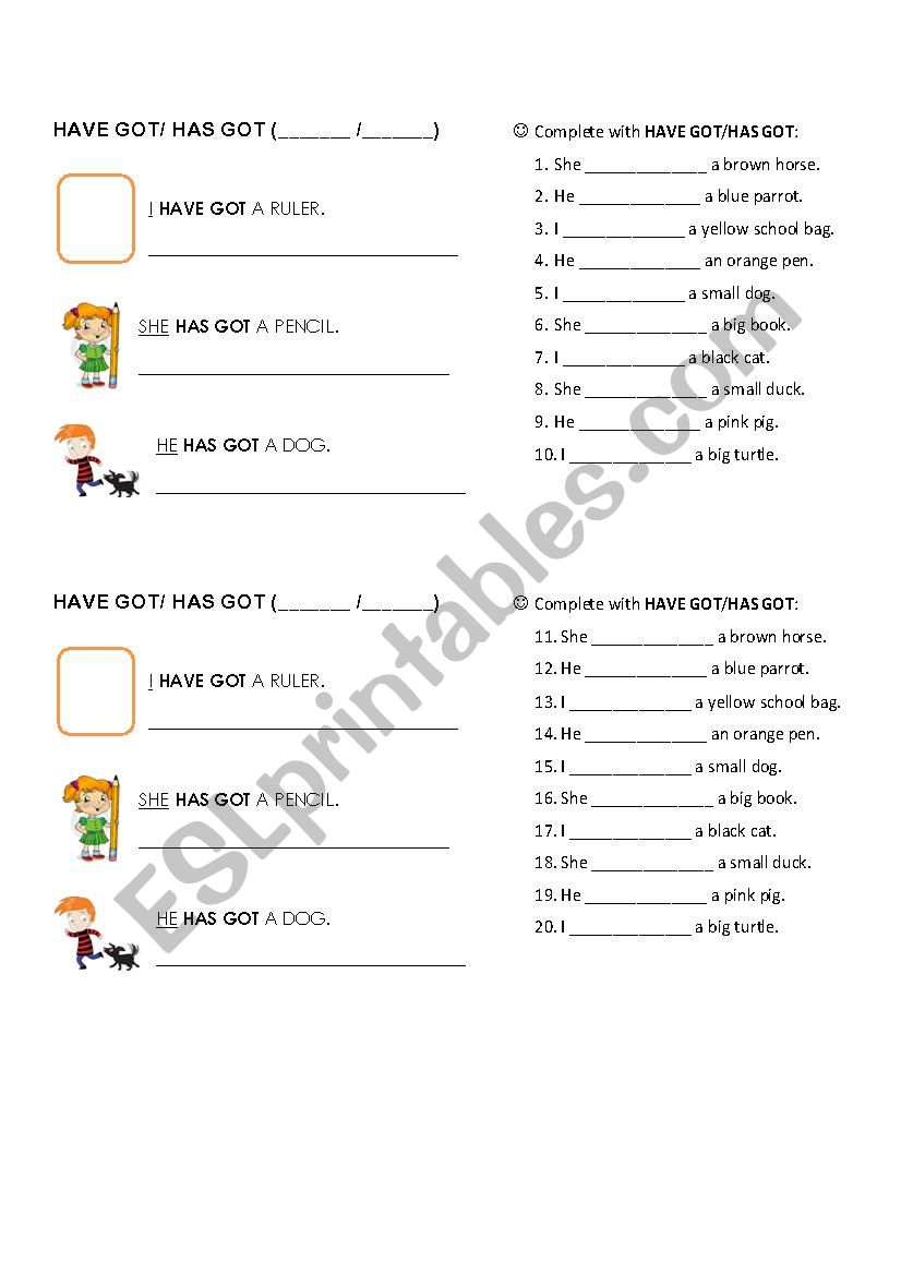 HAVE GOT/HAS GOT worksheet worksheet