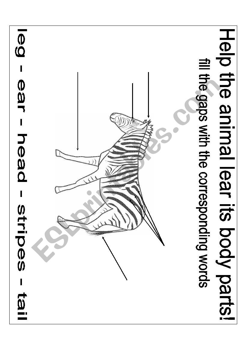 The savannah animals- Zebra worksheet