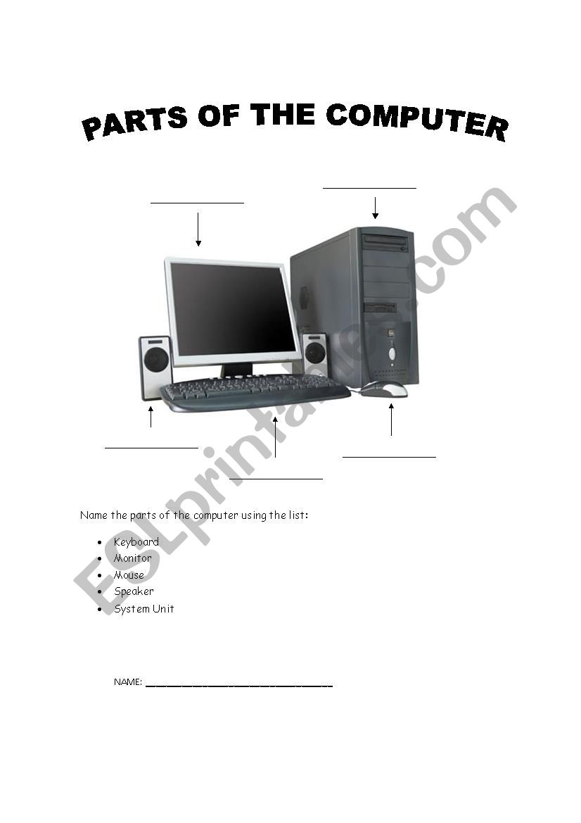 Parts Of The Computer Esl Worksheet By Barba1905