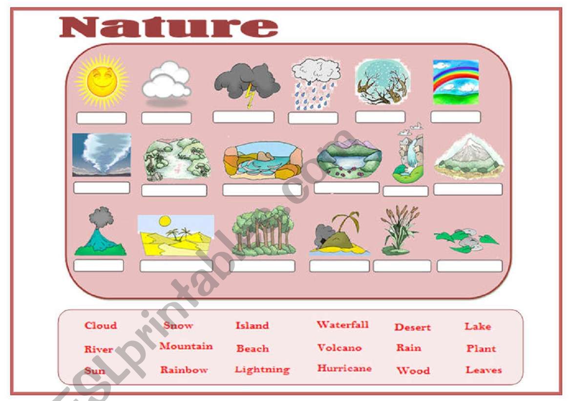 nature vocabulary worksheet