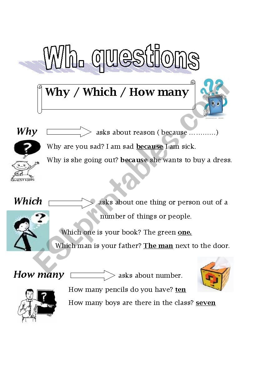 wh questions part 2 worksheet