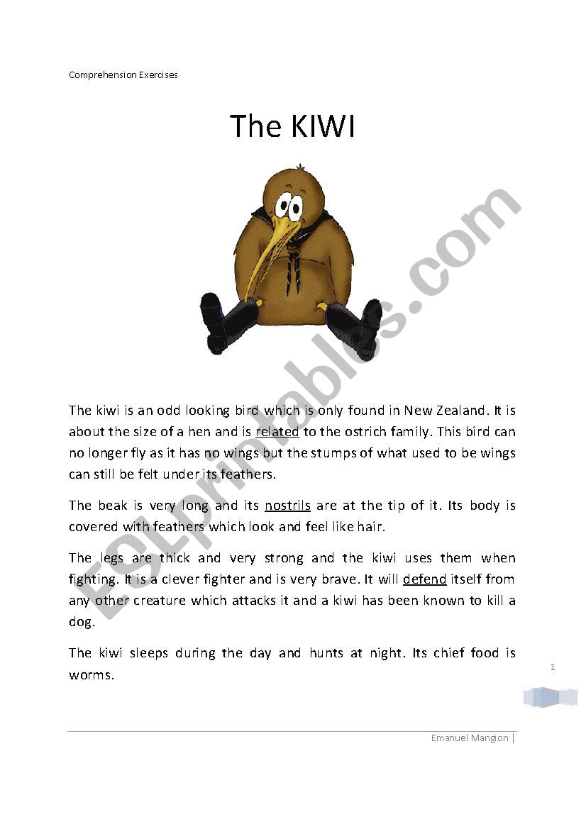 Reading Comprehension - The Kiwi