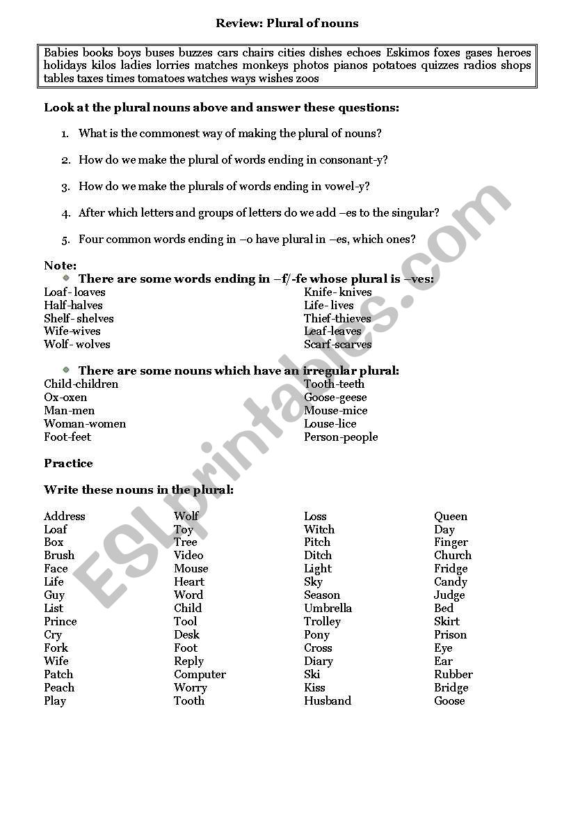 PLURAL OF NOUNS worksheet