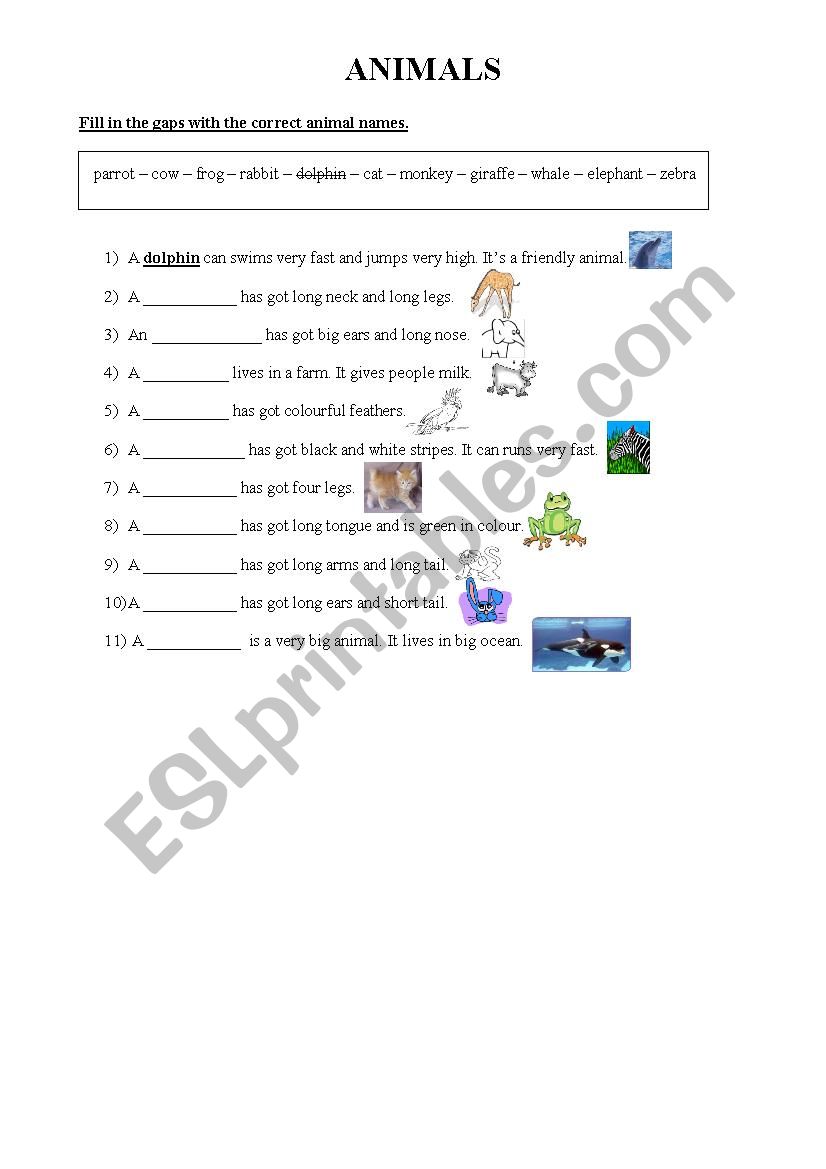 Animals worksheet