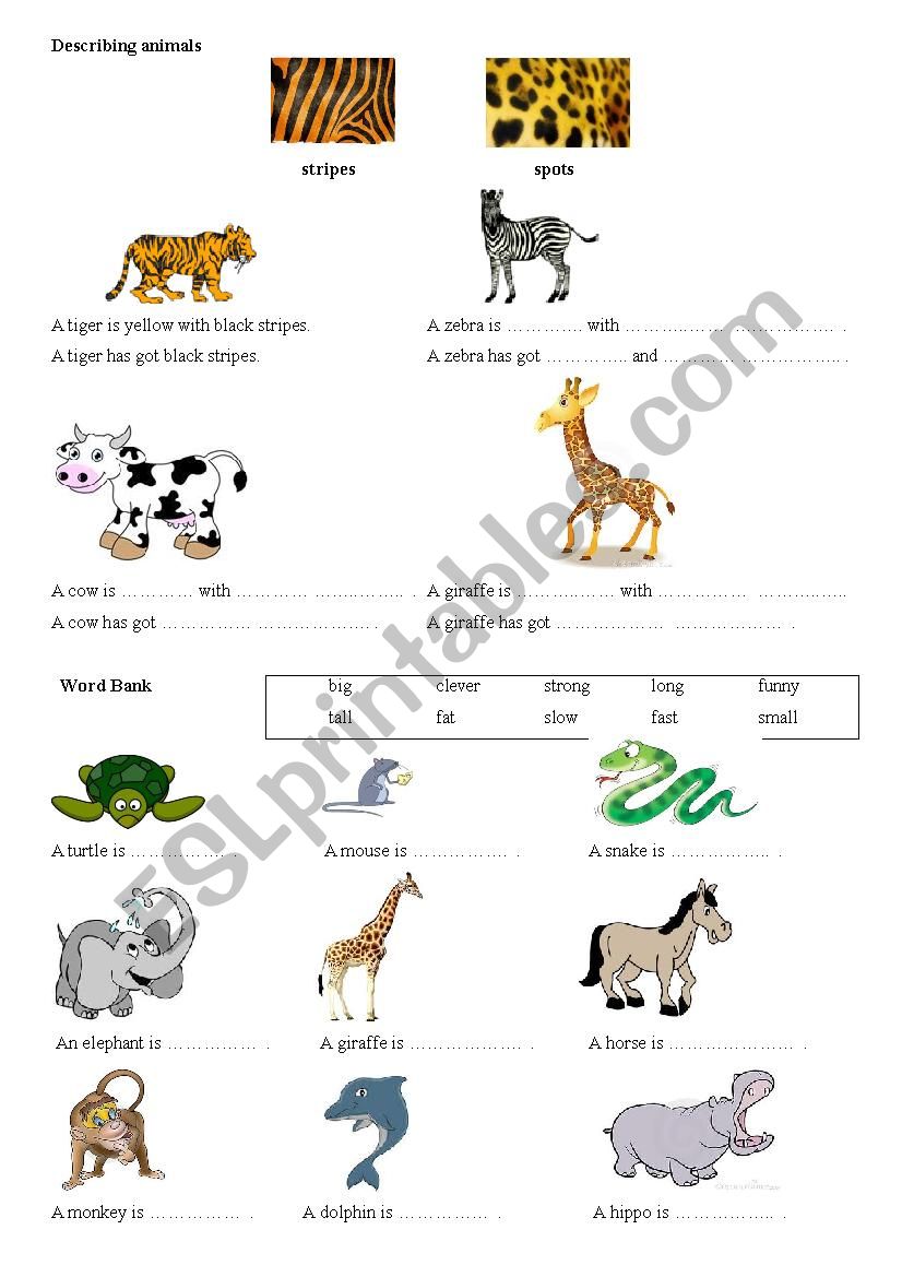 Describing animals worksheet