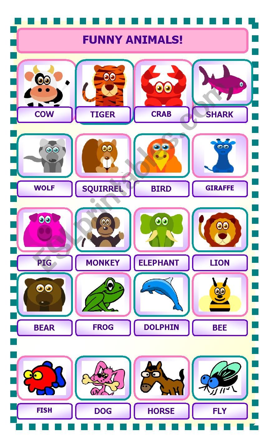 FUNNY ANIMALS worksheet