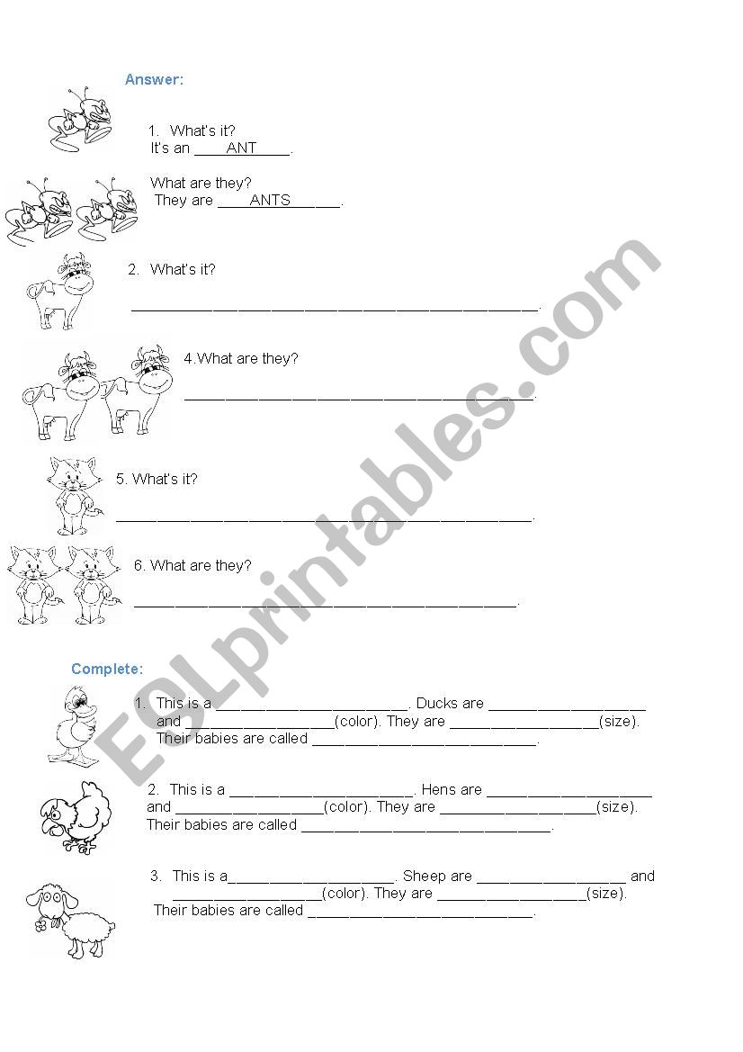 Farrm animals worksheet