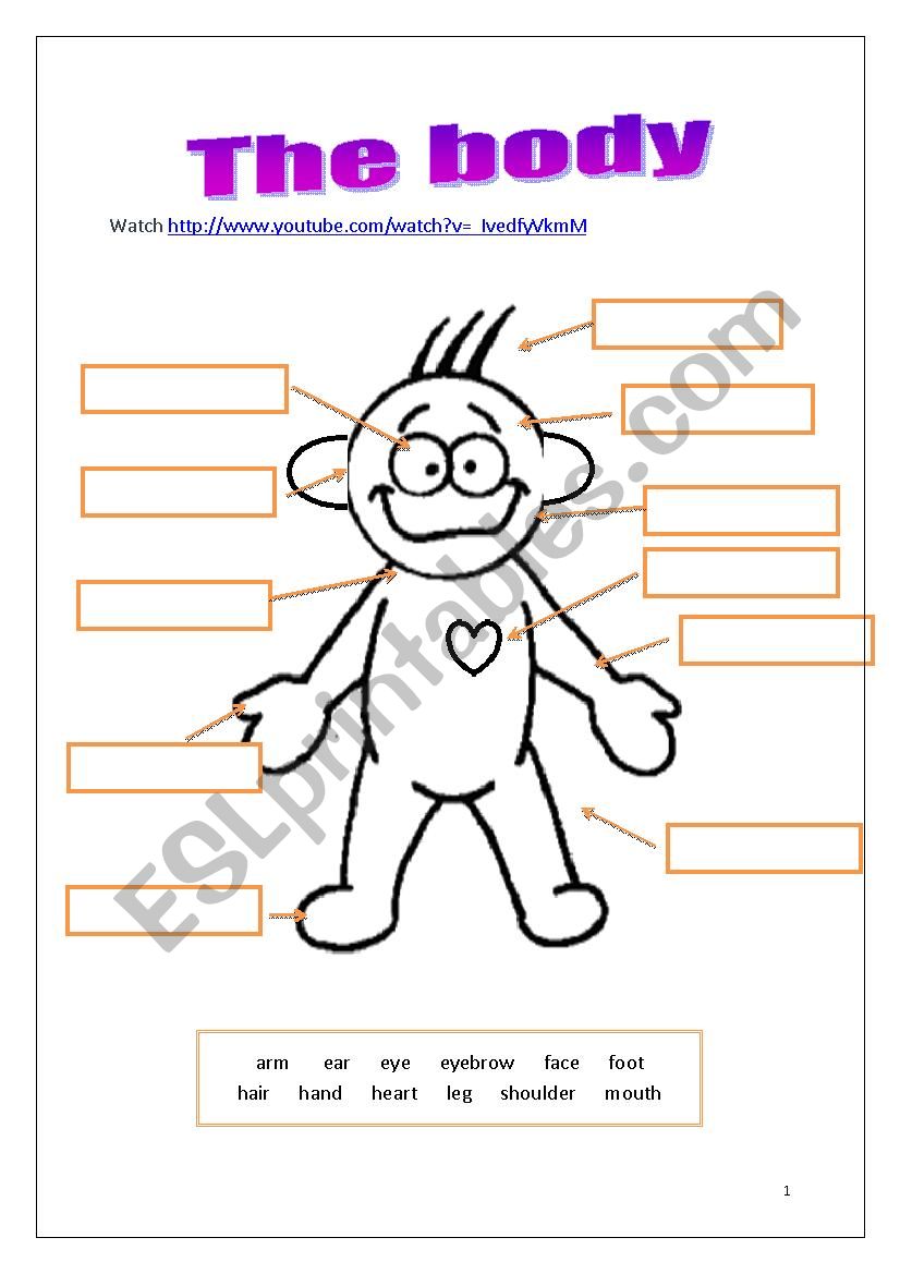 Parts of the body worksheet