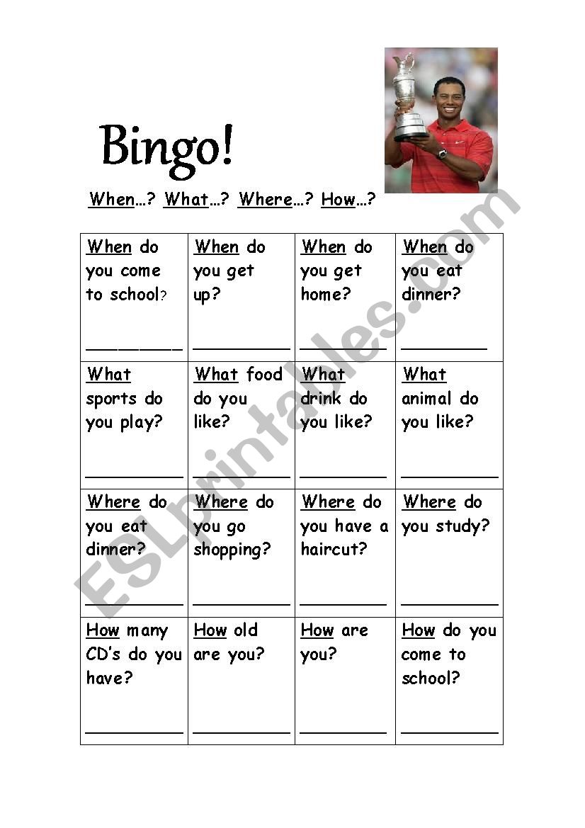 Interrogatives bingo worksheet