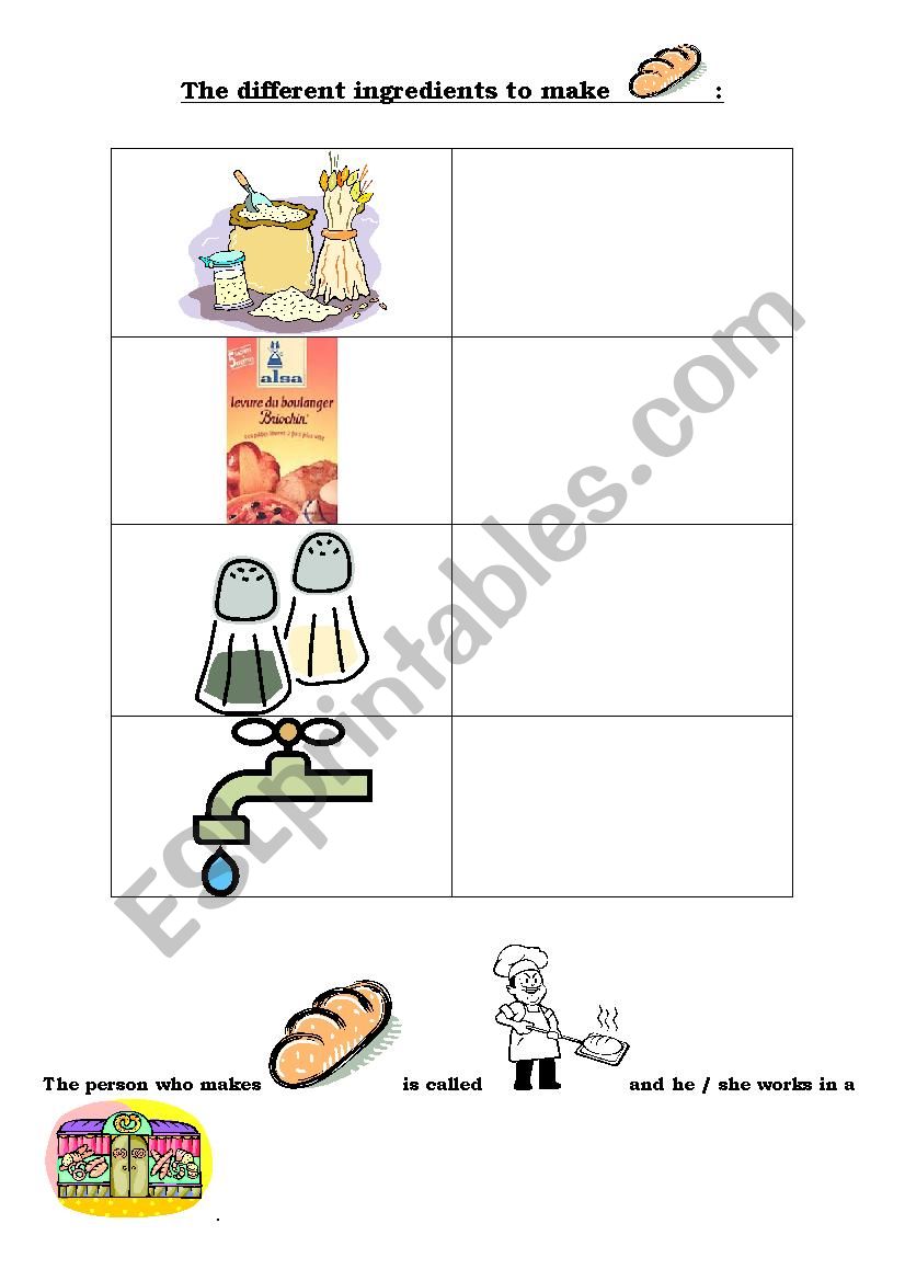 The differents ingredients to make bread