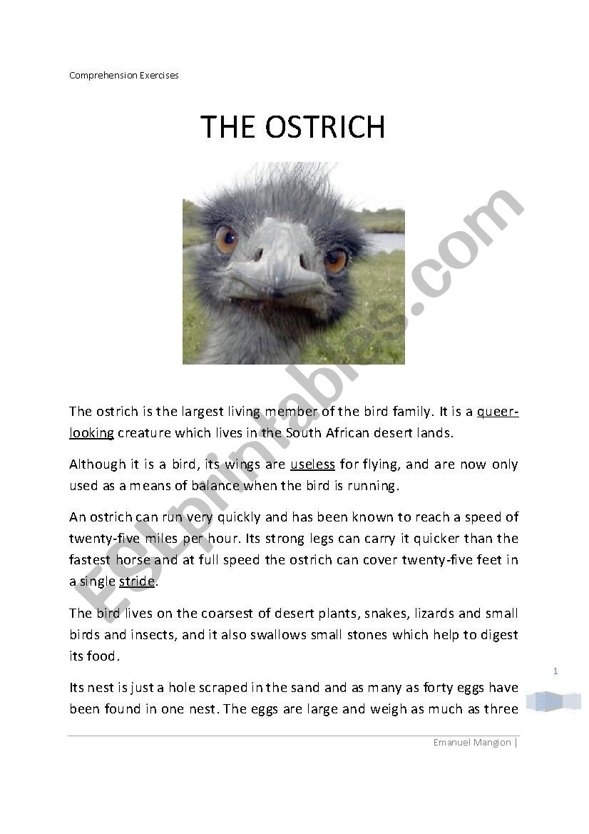 The Ostrich worksheet