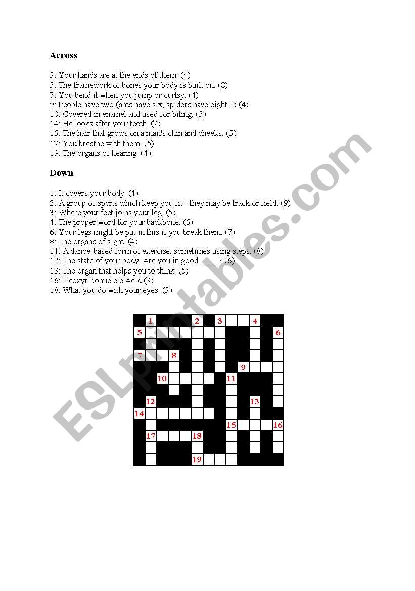 BODY CROSSWORD worksheet