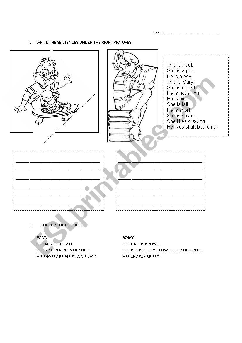 he and she, colours worksheet