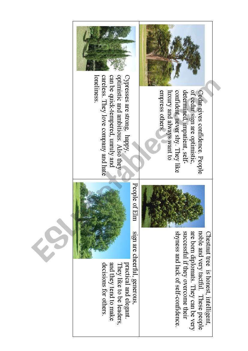 What kind of tree are you? Part 2 Chestnut Tree,Cedar,Cypress,Elm