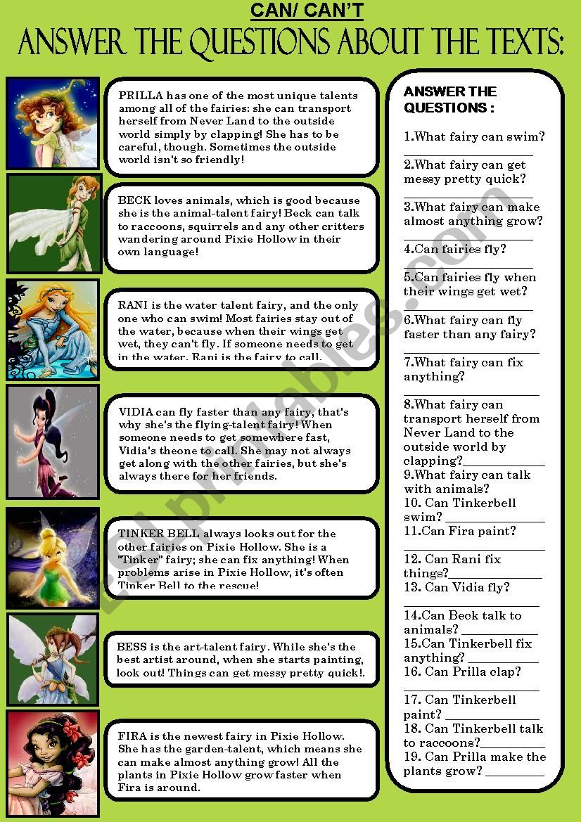 CAN/CANÂ´T QUESTIONARY worksheet