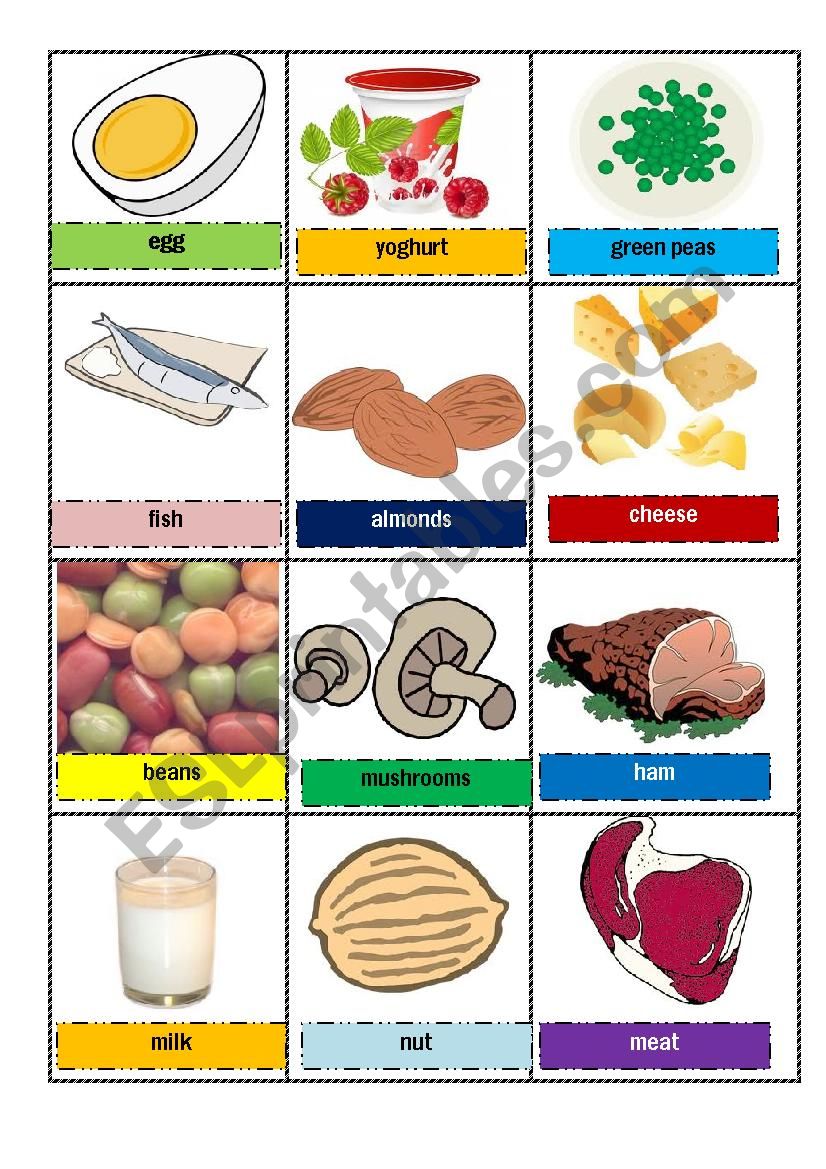 proteins- food memory cards / flash cards