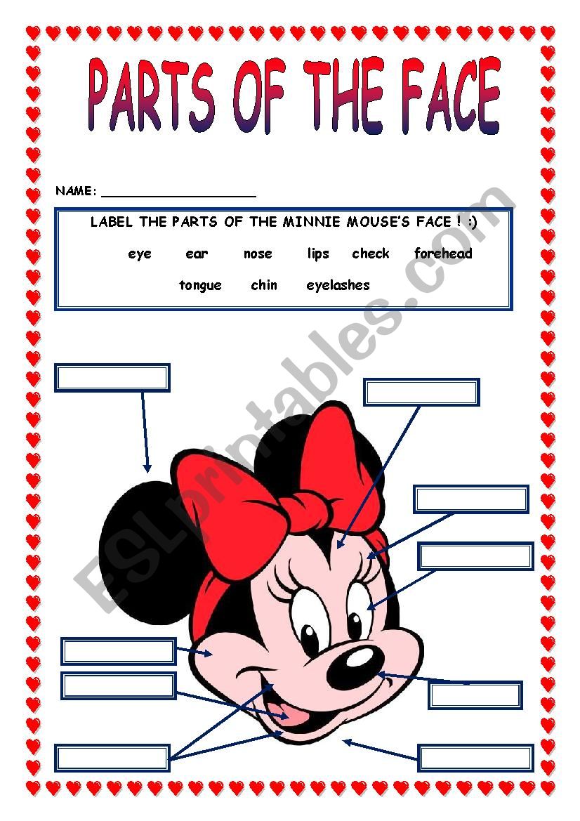 PARTS OF THE FACE worksheet