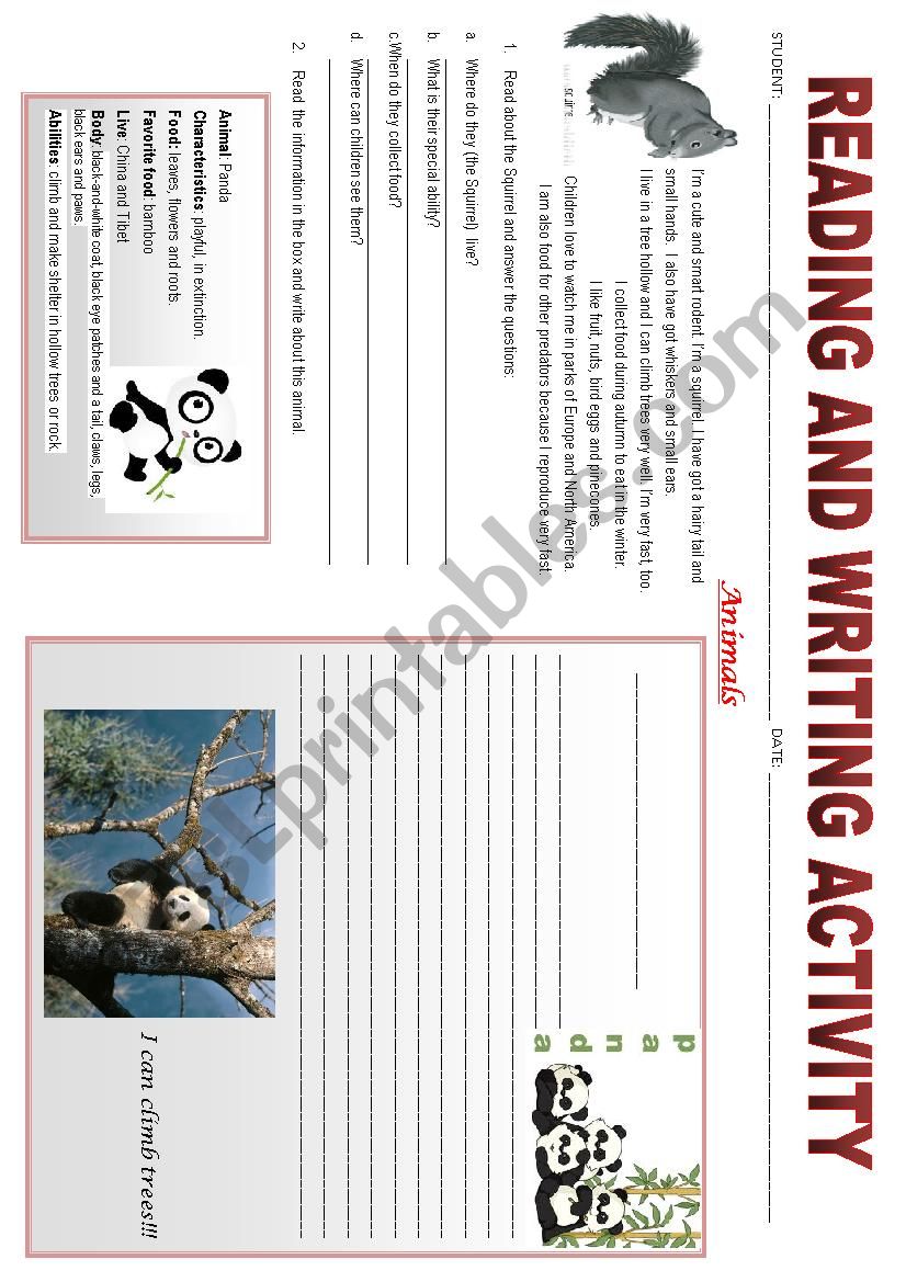 ANIMALS worksheet