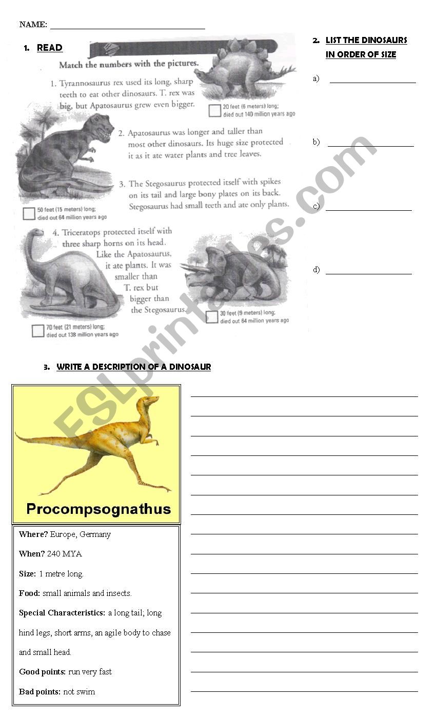 Test on simple past. (Dinosaurs)