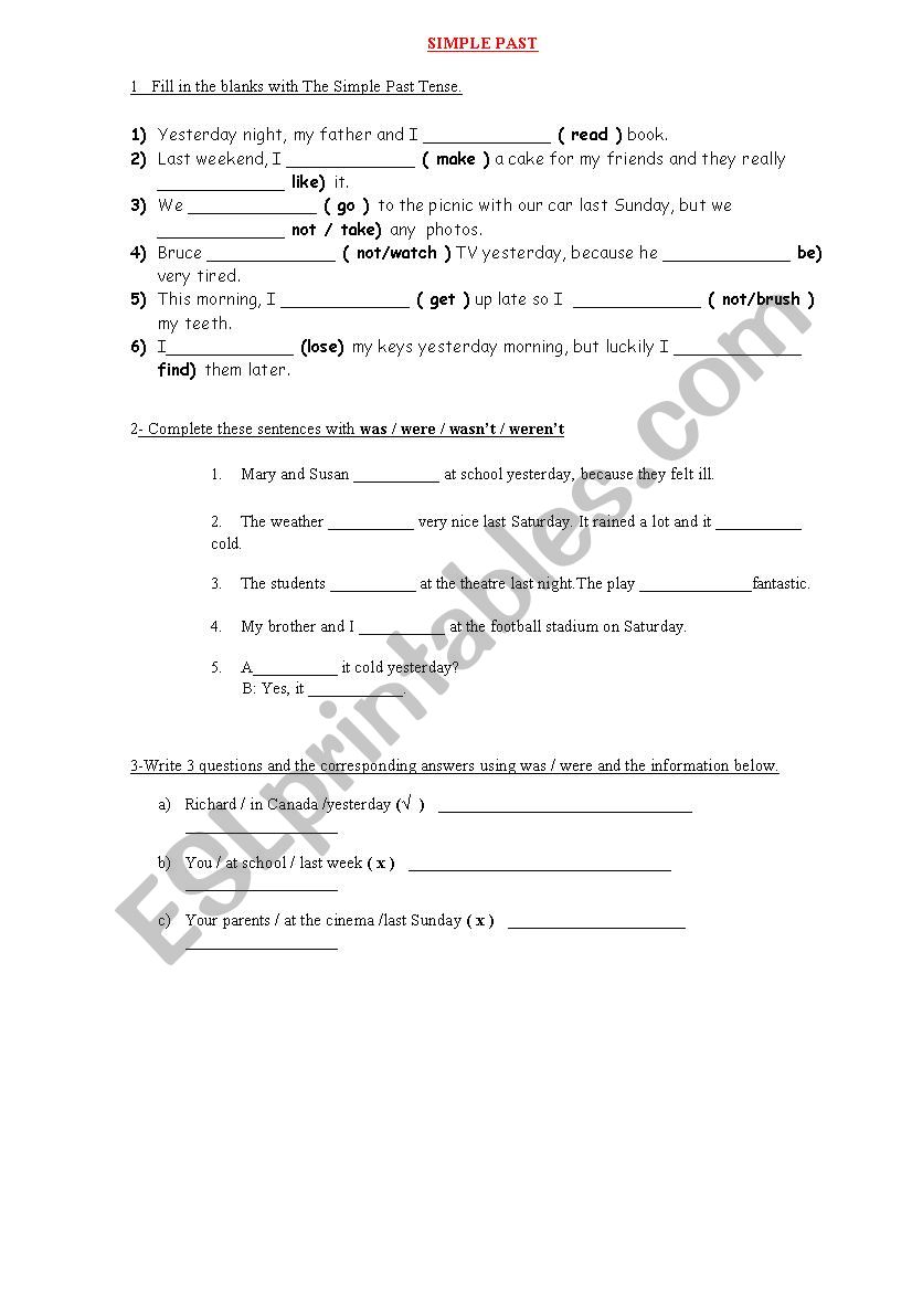 SIMPLE PAST PRACTICE worksheet