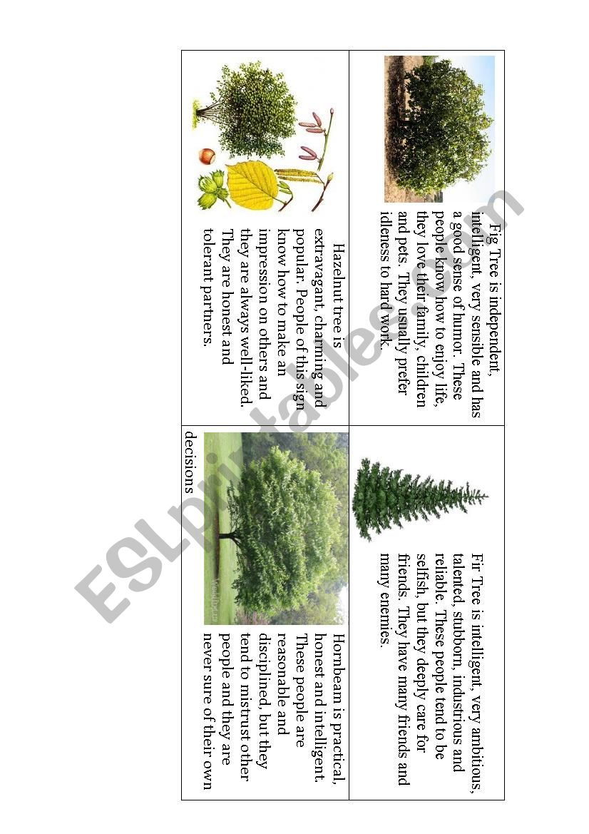 What kind of tree are you? Fig, Fir, Hazelnut, Hornbeam