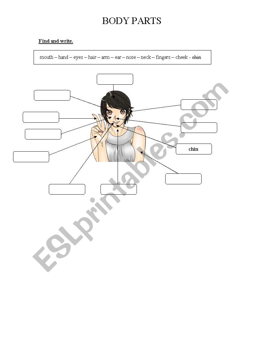 Body Part worksheet
