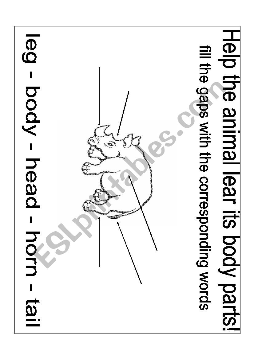 The savannah animals- Rhino worksheet