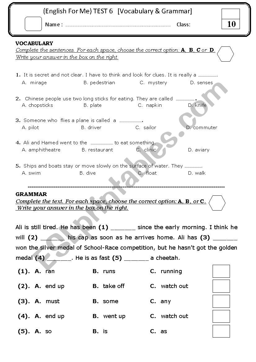 grammar and vocabulary worksheet