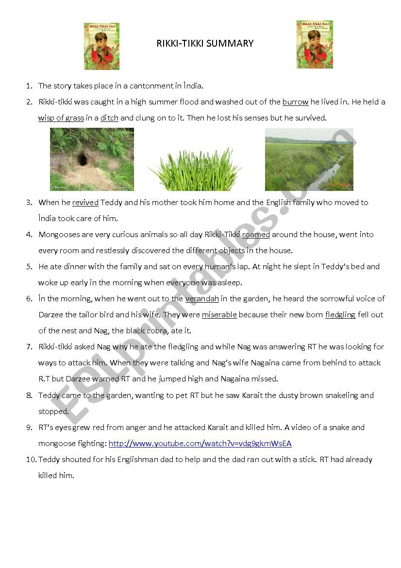rikki tikki tavi essay
