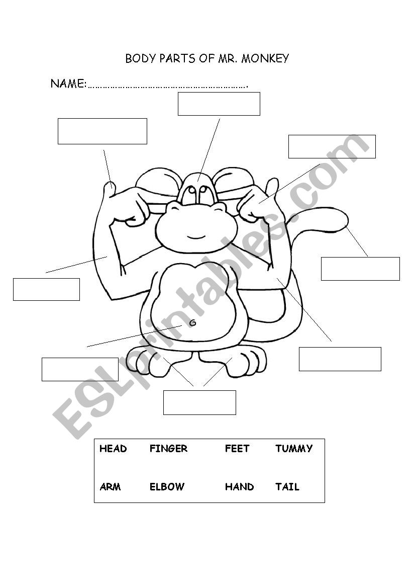 BODY PARTS worksheet