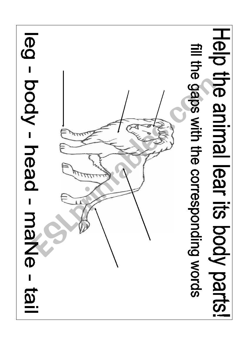 The savannah animals- Lion worksheet