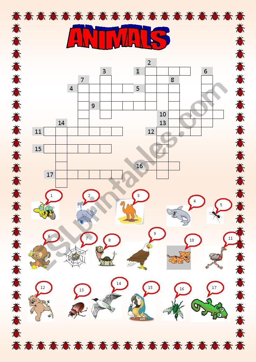 ANIMALS worksheet