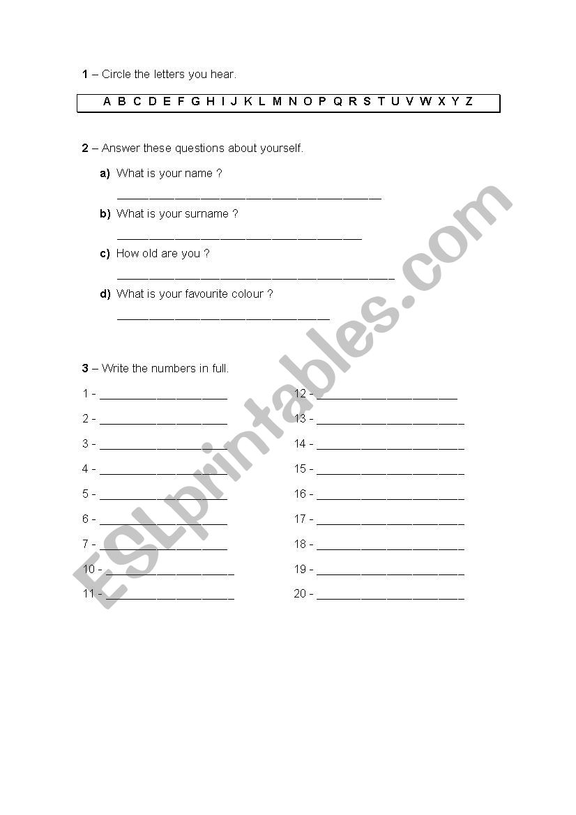 worksheet worksheet