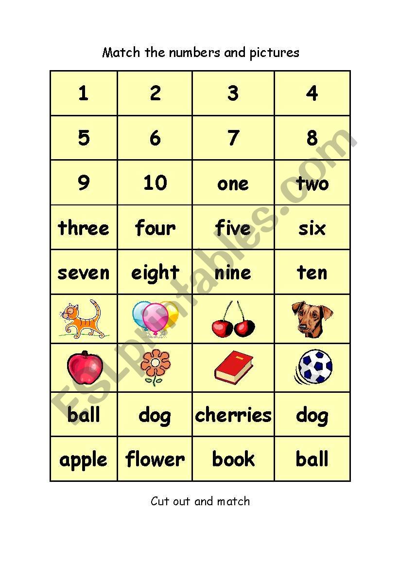 matching activity worksheet