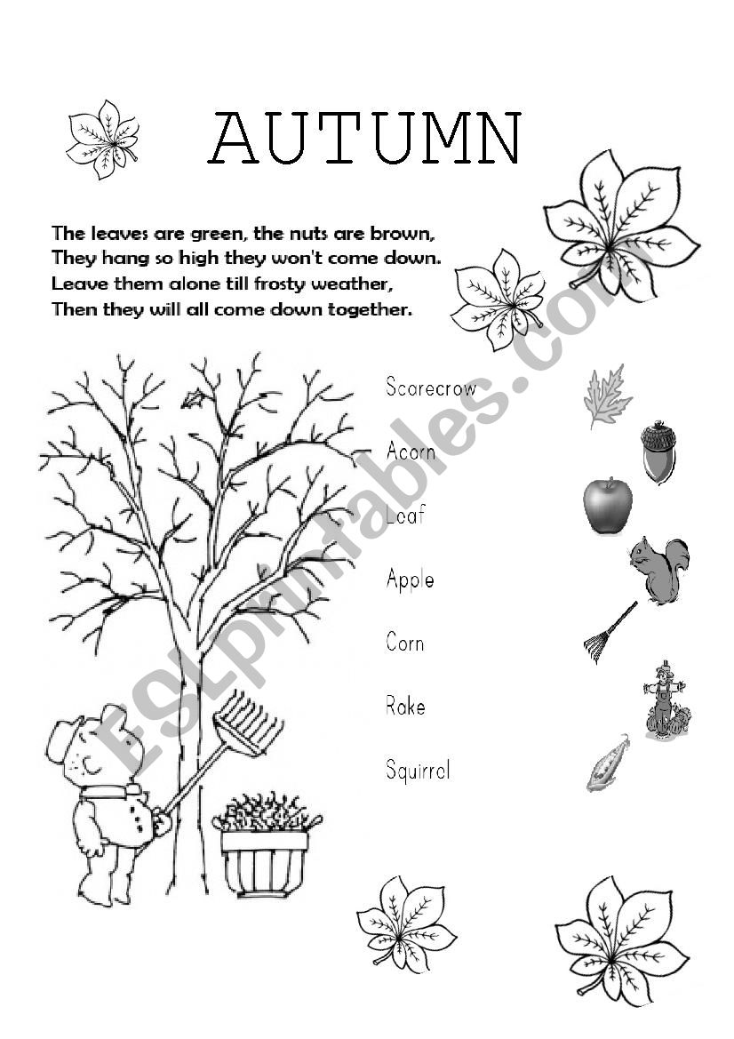 Autumn worksheet