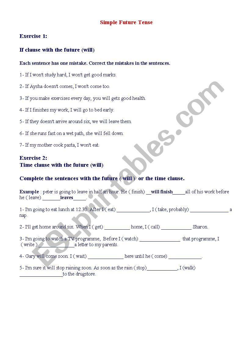 simple future tense worksheet