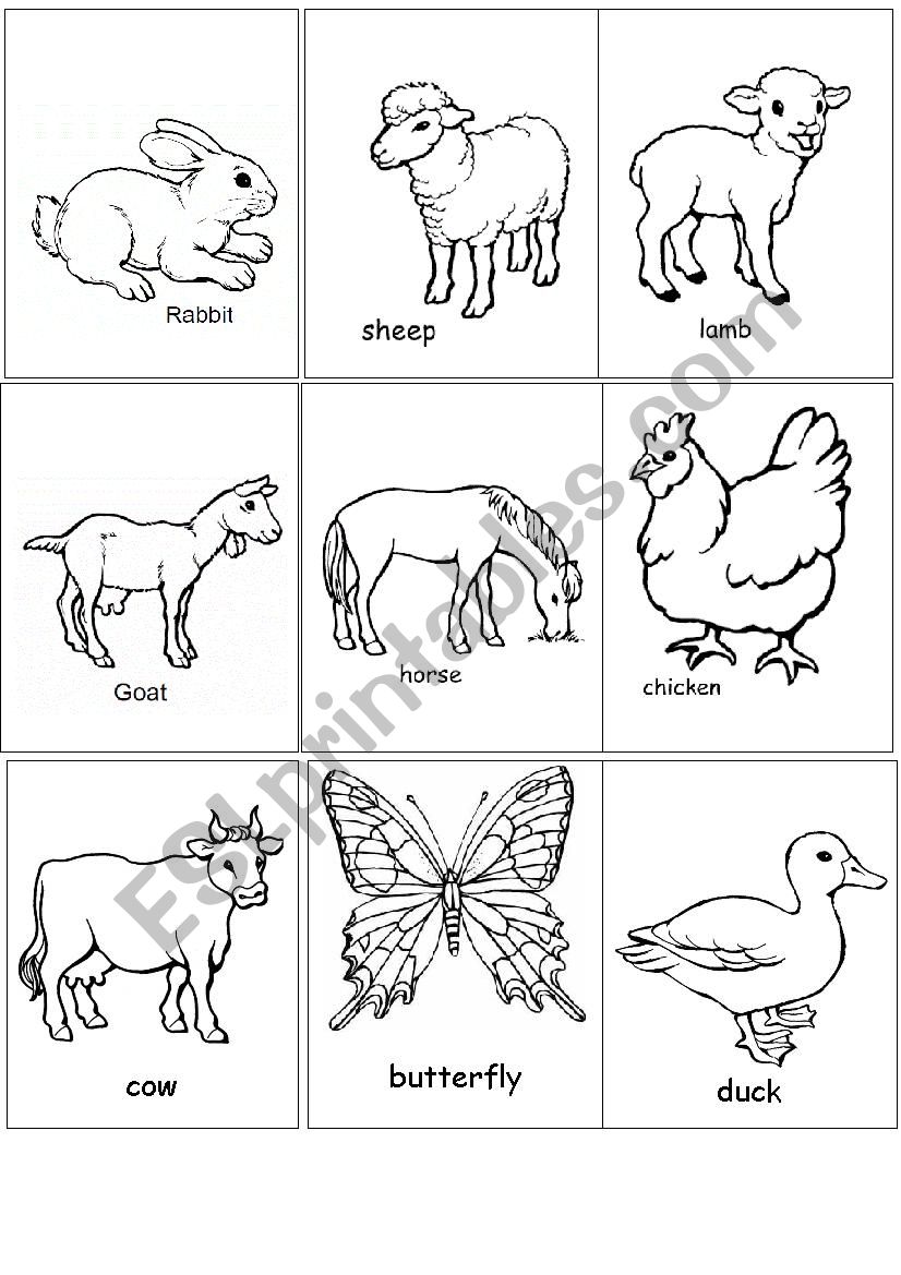 Farm animals flashcards worksheet