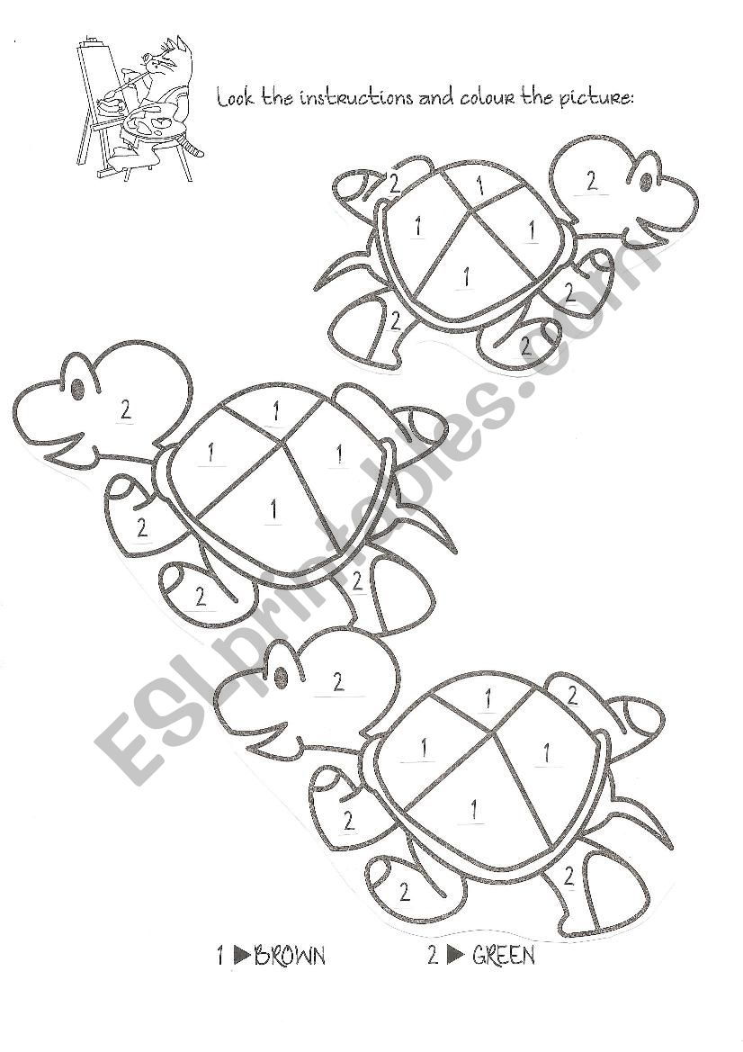 Coloring turtles worksheet