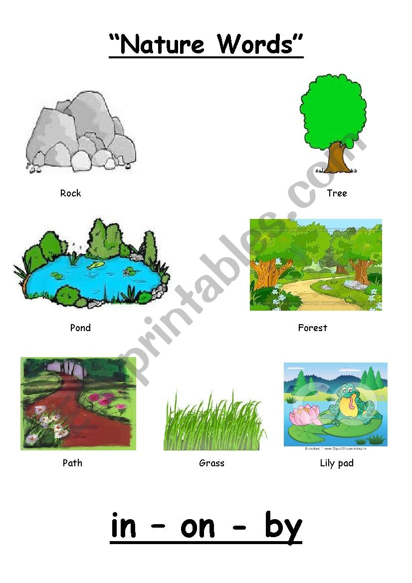 nature words pictionary worksheet