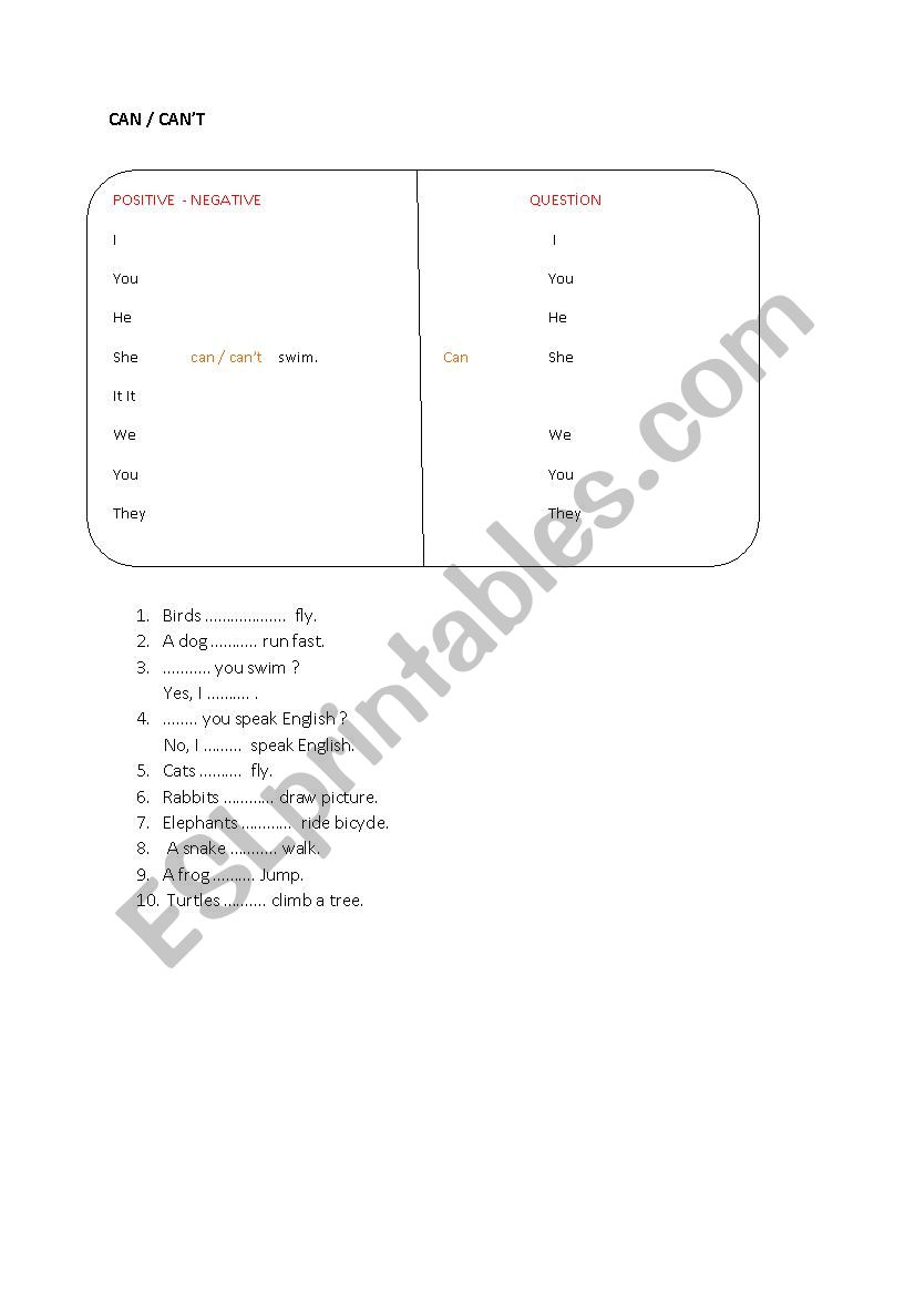 can worksheet