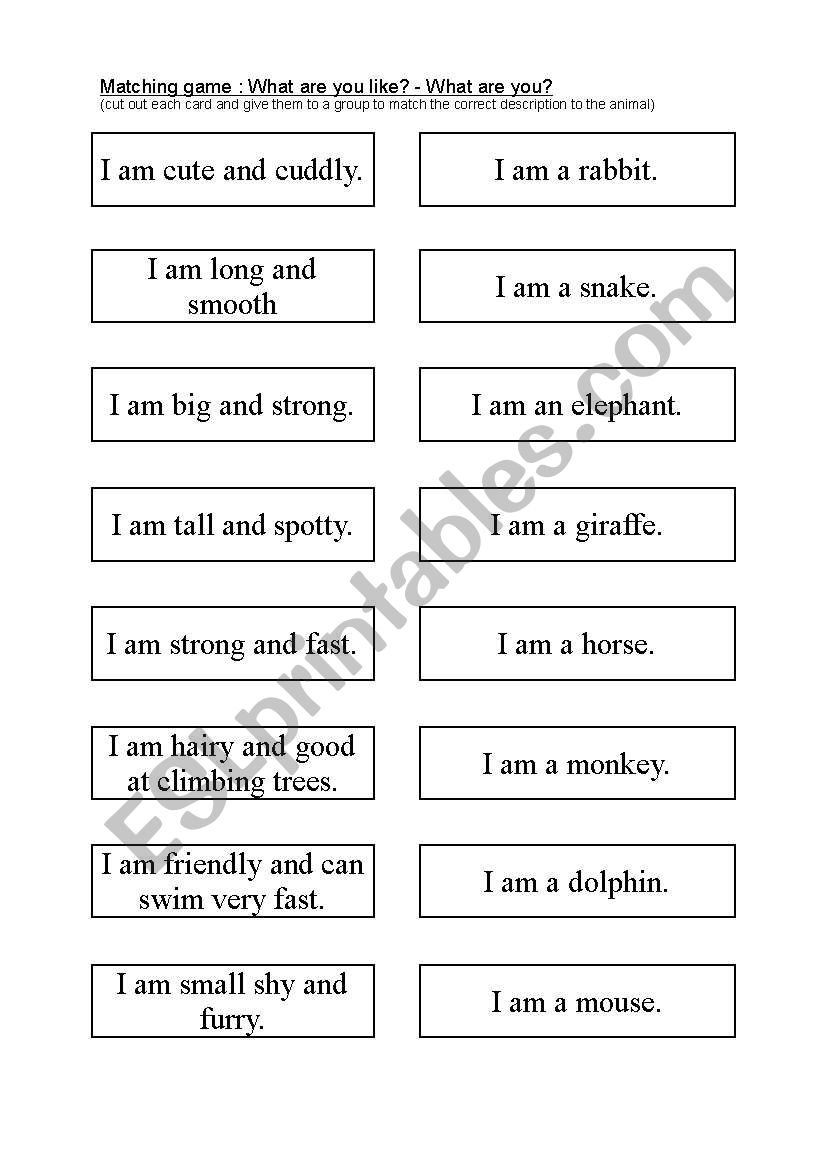 Animal Matching worksheet